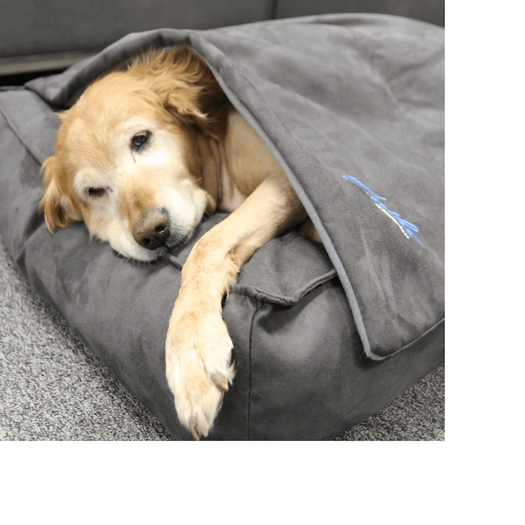 Gravity Premium Original Weighted Dog Blanket, Calming, Relaxation &  Anxiety Relief for Pets, Comfortable & Cozy Blanket for Anxious Dogs,  Washable