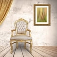 thumbnail image 3 of Bush, Marie 17x24 Gold Ornate Wood Framed with Double Matting Museum Art Print Titled - Ecuador, Colon Montage of botanical plants, 3 of 4