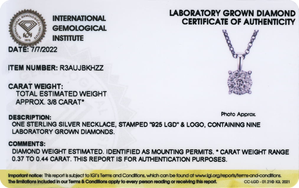Forever Facets 3/8 CT TW Lab Grown Diamond Necklace in Platinum over Sterling Silver, Adult Female