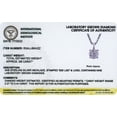 thumbnail image 6 of Forever Facets 3/8 CT TW Lab Grown Diamond Necklace in Platinum over Sterling Silver, Adult Female, 6 of 8