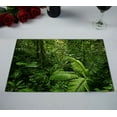 thumbnail image 2 of EREHome Tropical Rain Forest Costa Rica Placemat Table Mat Cup Mat 12x18 inch,Set of 2, 2 of 2