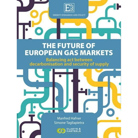 Energy Scenarios and Policy: The Future of European Gas Markets (Hardcover)