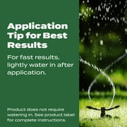 Scotts Turf Builder Lawn Fertilizer, 15,000 sq. ft., 37.50 lbs.