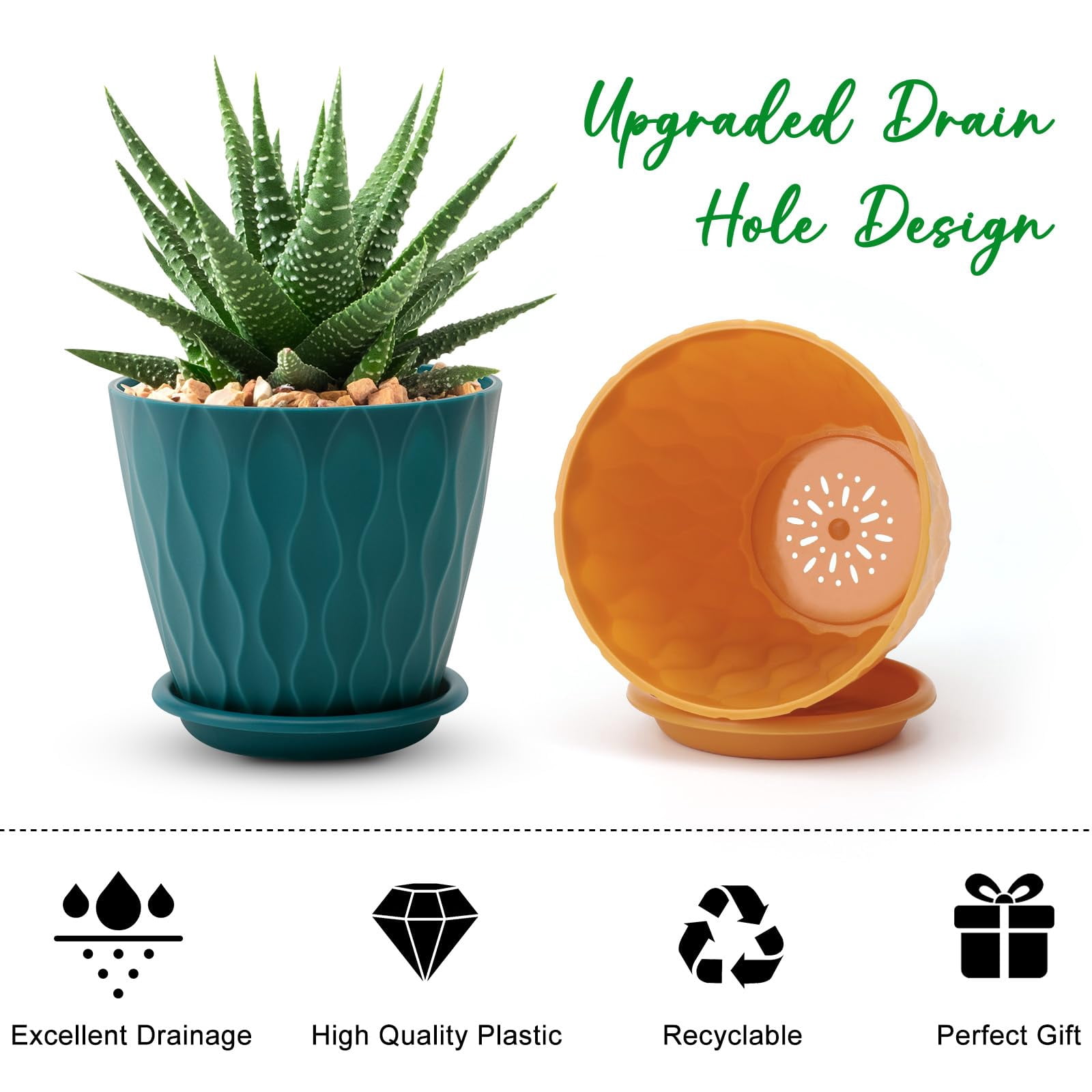 Plant Pots