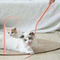 thumbnail image 1 of Feltree Baguette Universelle en Forme de Queue de Souris pour Chatons et Chats, Jouet Interactif, 1 of 8