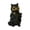 Black-B, variant on Animal Night Light Figurine, Glow-In-The-Dark Decorative Statue For Reading, Animal Shaped Lamp For Bedroom Living Room Home Office Desk Decor Housewarming Gift