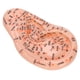 thumbnail image 5 of Modelo de oreja, modelo de acupuntura de oreja humana Puntos de acupuntura de oreja Modelo de masaje de oreja Características mejoradas, 5 of 8