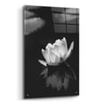 thumbnail image 2 of Epic Art 'Water Lily BW' by Istvan Nagy, Acrylic Glass Wall Art, 24"x36", 2 of 8