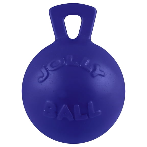 Jolly Pets Tug-N-Toss Ball with Handle Blue 8 inch Rubber Chew Toy for Dogs