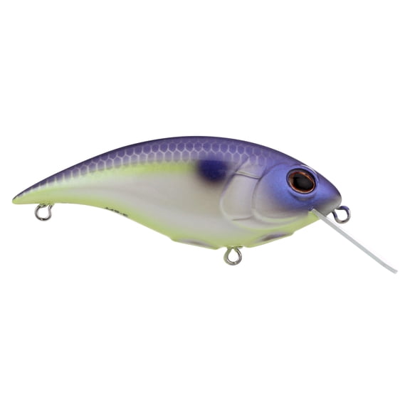 Berkley Shallow Money Badger Fishing Crankbait, 2.6 in, Hybrid Baitfish-Crayfish