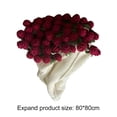 thumbnail image 4 of Manta Ramo Flores Material Bricolaje Crochet Regalos () Rojo, 4 of 6