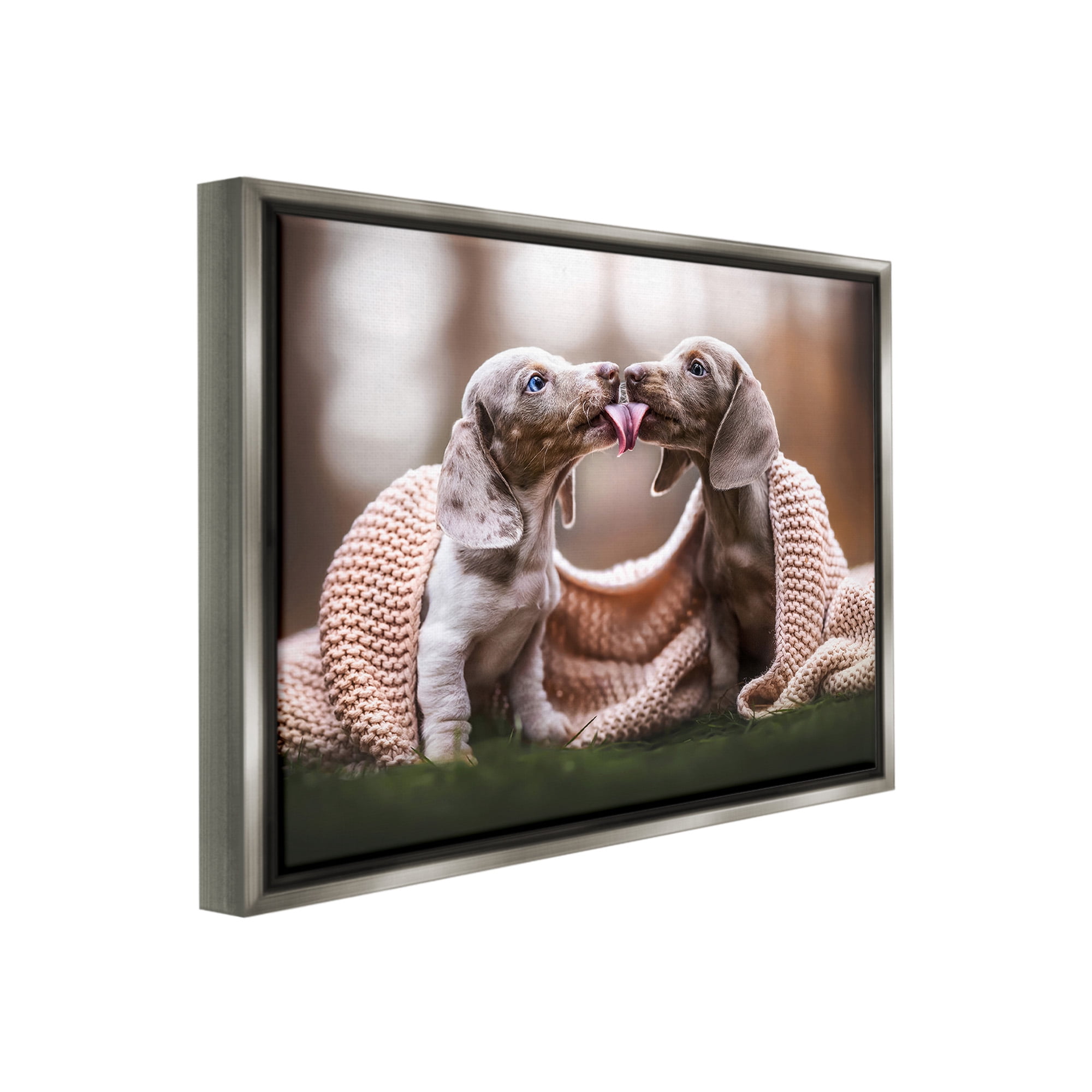 Stupell Industries Puppies with Blanket Animals & Insects Painting Gray Floater Framed Canvas Art Print Wall Art, 21 x 17