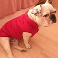 thumbnail image 3 of Bienvenido Winter dog warm clothes, pet clothing thick padded coat, warm comfortable coat, 3 of 5