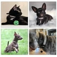 thumbnail image 2 of Mumup Dog Collar for Medium Dogs Female, Bling Diamond Fancy Crystal Glitter Pretty Jewel Rhinestone Puppy Dog Collars for Small Medium Large Breed Pet Girl Dogs Cats Kitten, 2 of 6