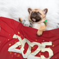 thumbnail image 3 of Yiaed Happy New 2025 Year Print Dog Blankets-Cat Blanket Washable for Couch Protection,Puppy Blanket, Soft Plush Reversible Throw Furniture Protector-Small, 3 of 8