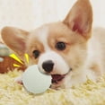 thumbnail image 3 of Glowing Bouncy Chew Teething Puppy Toy Squeaky Interactive Play for Small Dogs Indoor Outdoor Training, 3 of 3