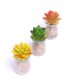thumbnail image 3 of Pequeñas Macetas Modernas De en apariencia De Maceta Con Mini Plantas Suculentas Artificiales DIY Micro Landscape Decor verde Macarena Plantas Pottiles Artificiales, 3 of 8