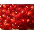 thumbnail image 4 of 25 POMEGRANATE TREE Punica Granatum Red Fruit Seeds, 4 of 5