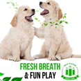 thumbnail image 5 of Dog Toothbrush, Cream-Flavored Dog Toothbrush New Improved Version Chewing Stick Made, 5 of 5