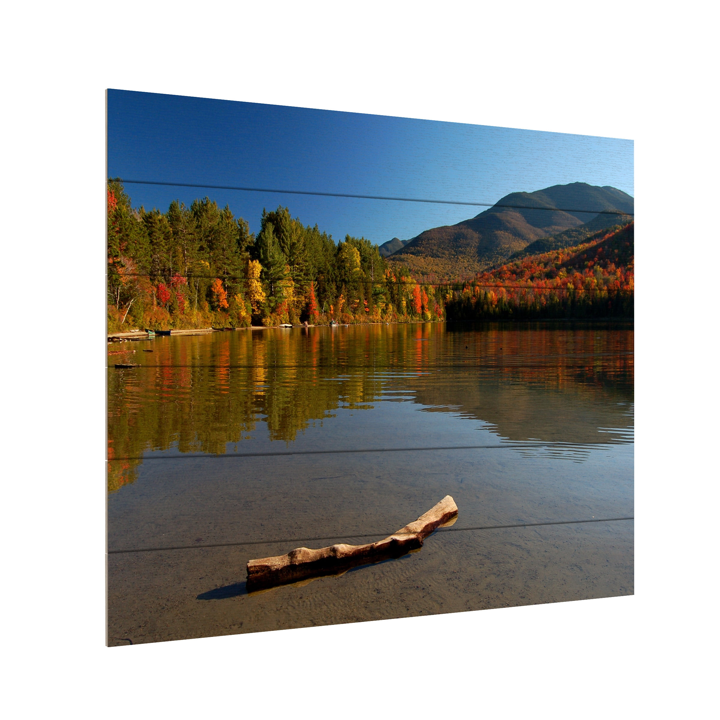 Nicole Dietz 'The Adirondack Driftwood' Wood Slat Art 18x22