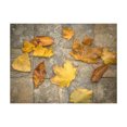 thumbnail image 3 of Tiptophomedecor Background & Patterns Wallpaper Wall Mural - Autumn Leaves on Stones, 3 of 8