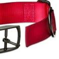 thumbnail image 4 of Vibrant Life Solid Polyester Adjustable Metal Buckle Dog Collar, Red, Extra Large, 4 of 6