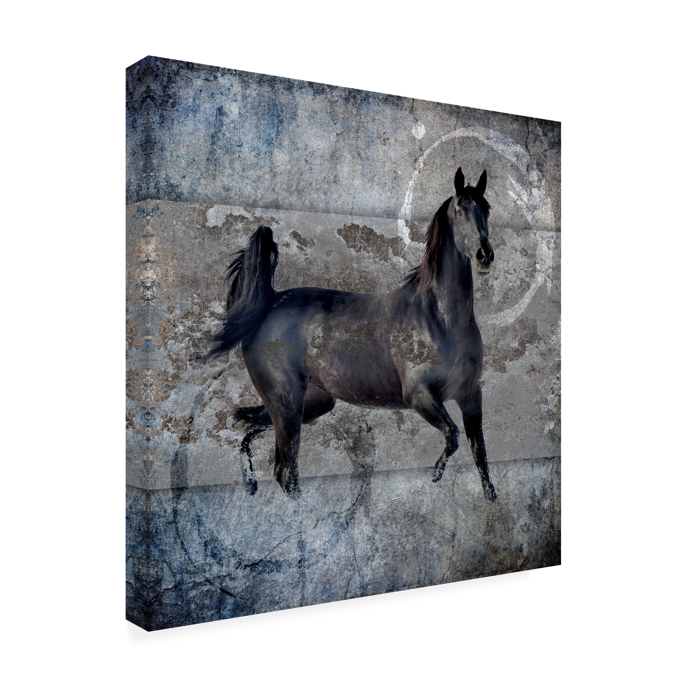 LightBoxJournal 'Black Mare 2' Canvas Art