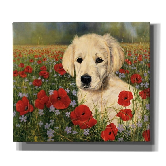Epic Graffiti 'Puppy And Poppies' by Bill Makinson, Canvas Wall Art, 30"x26"