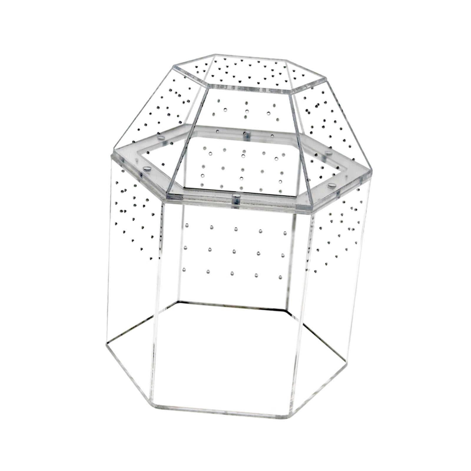 Reptile Tank Tarantula Enclosure Small Breeding Box Lightweight Acrylic Construction Suitable for Display and Desk Decor