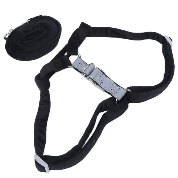 Arnés De Seguridad Para El Pecho Para Perros, Cinturón De Seguridad Cómodo Y Transpirable Para Perros Material De Terciopelo De Moda Reflectante Para Perros Pequeños, Medianos ANGGREK Otros
