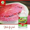 OdoBan Odoban 1 Gal Concentrate, Cucumber Melon Scent Odor Eliminator