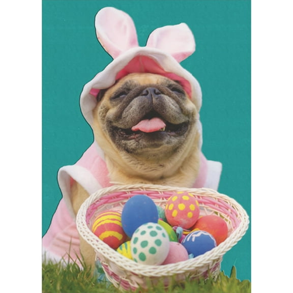 Designer Greetings Grinning Pug in Pink Bunny Outfit with Basket of Eggs Photograph Funny / Humorous Easter Card