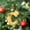 C, variant on Gold 26 Letter Ornaments for Christmas Tree Decoration - Personalized Hanging Pendant Xmas Alphabet for DIY Craft Ornaments (A)