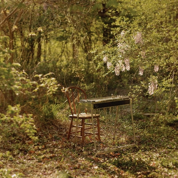 Luke Schneider - For Dancing In Quiet Light - Music & Performance - Vinyl