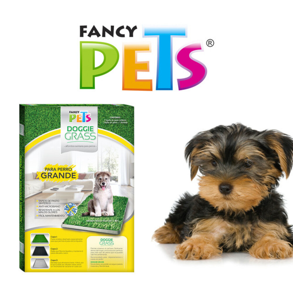 Pipican Para Perros PawHut Inodoro Para Perros Arenero Para Perros