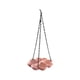 thumbnail image 2 of Comedero Para Pájaros De Plástico Comedero para pájaros colgante de exterior con forma de trébol de cuatro hojas, color rosa, con doble propósito, para agua y comida (1 unidad) JASKFLY, 2 of 8