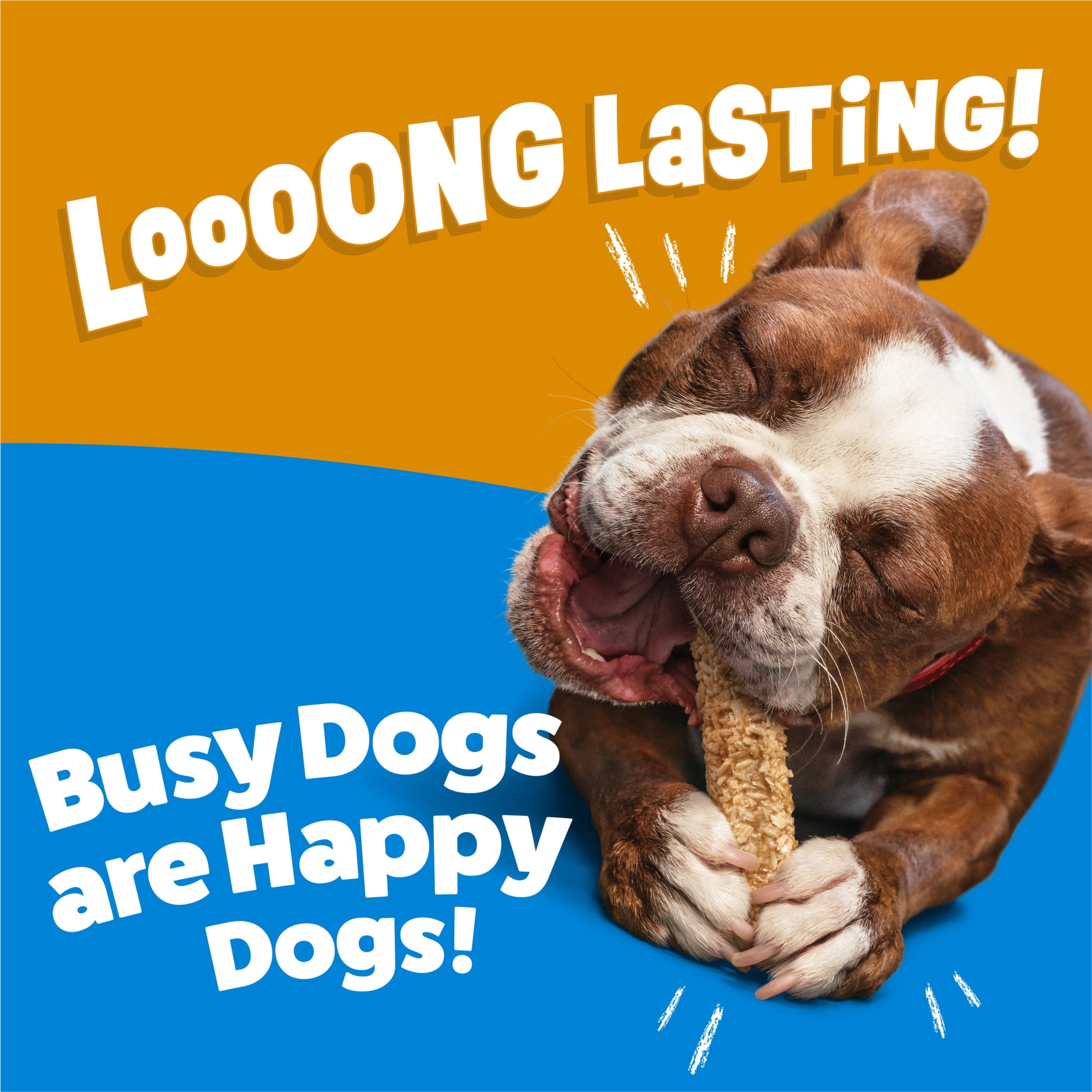 Purina Busy Chewnola Large Breed Beefhide Chews for Dogs, Long-Lasting Dog Snacks, 4 oz, 12 Pack