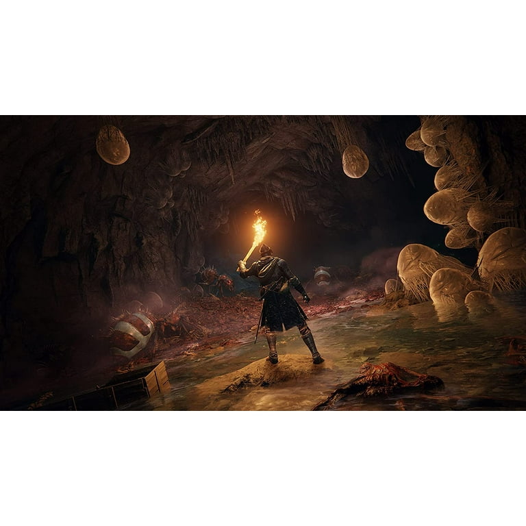 ELDEN RING PS5 新品同様 Elden Ring (PS5) Import Region Free - Walmart.com