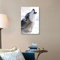 thumbnail image 4 of Great Big Canvas "Gray Wolf Howling"  by Mark Newman Gray    Wrapped Canvas Print Wall Artwork, 4 of 7