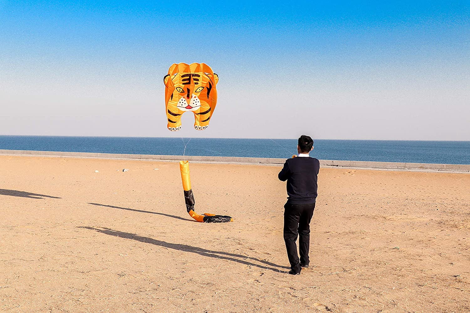 Large 3D Parafoil Kite for Adults and Kids, Easy-Fly Soft Nylon Kite with String and Backpack for Beach Park, 244x39 Inch