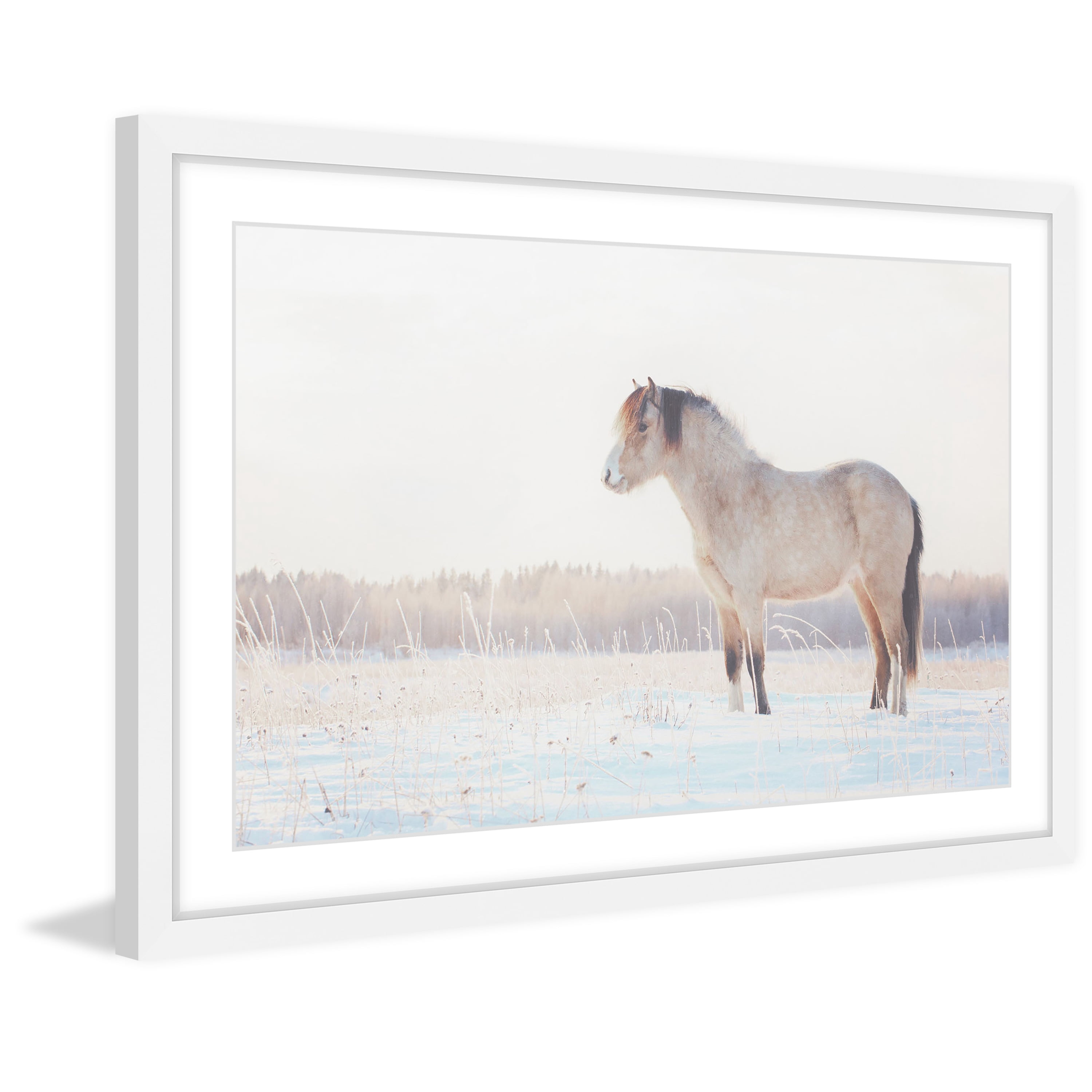 Marmont Hill "Horse Stands Still" Framed Painting Print