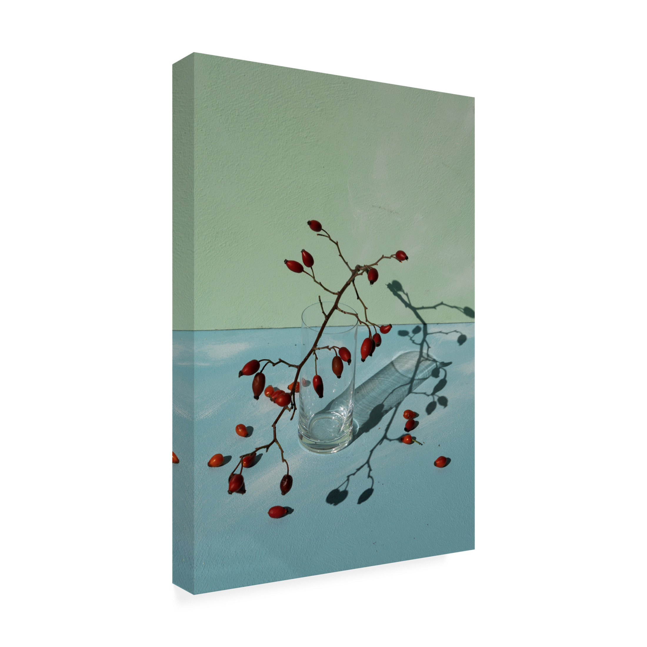 Trademark Fine Art Donatella Basso Berries Canvas Wall Art