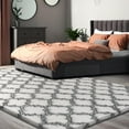 thumbnail image 2 of 4x5.8 Plush Area Rug, High Pile Rugs for Living Room, Ultra Soft Indoor Carpet for Bedroom, Kids Room, Playroom, Home Decor, Geometric, White/Black, 2 of 18