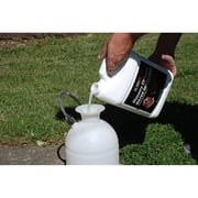 ChimneyRx Masonry Chimney Water Repellent gal