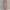 Pink, variant on XWSHYW Dresses for Women Fashion Solid Color Square Neckline Holiday Party Dresses Sexy Sleeveless Slim Fit Beach Long Dress Summer Savings Clearance