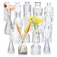thumbnail image 1 of Set de jarrones de cristal Brajttt Vintage Flowers, 18 unidades, transparentes, 1 of 9