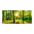 thumbnail image 2 of Tiptophomedecor Peel and Stick Forest XXL Wallpaper Wall Mural - Forest Rays - Removable Wall Decals, 2 of 3