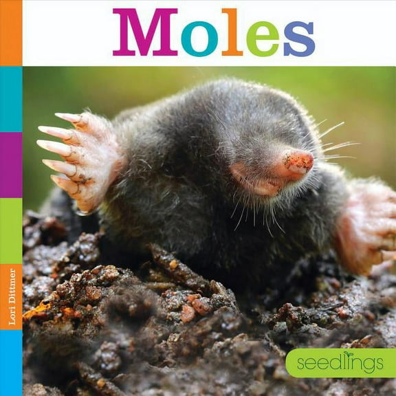 Seedlings: Backyard Animals: Moles (Paperback)