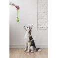 thumbnail image 5 of Pelota de entrenamiento para perros Vitalili Rubber con cuerda para perros pequeños, 5 of 5