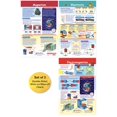 thumbnail image 1 of NewPath Learning - Juego de 3 tableros de anuncios de electricidad y magnetismo, laminado de doble cara a todo color, 12.0 x 18.0 in (94-9004), 1 of 4